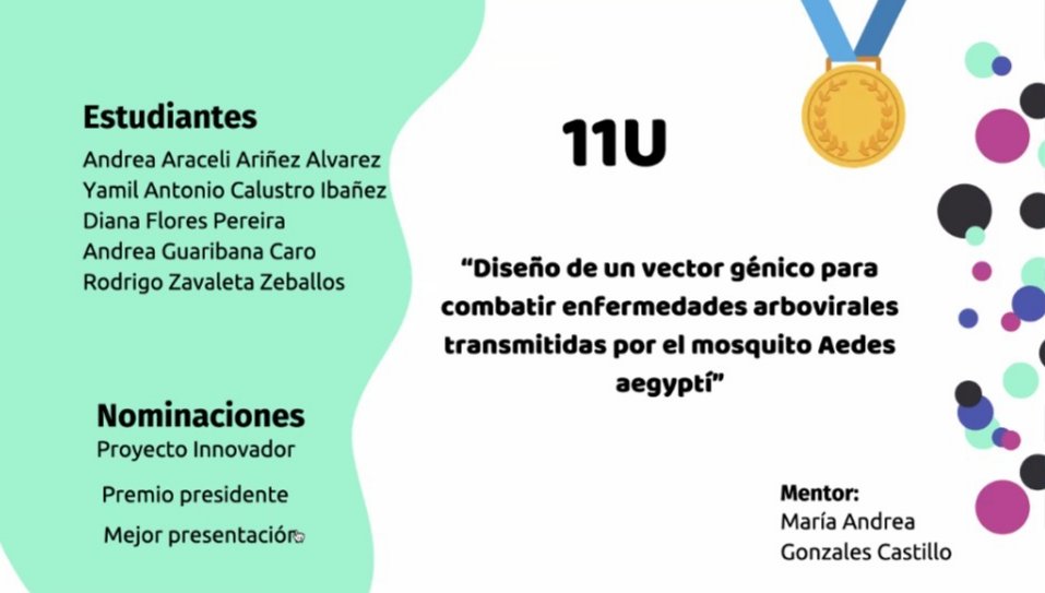 yamilcalustro's tweet photo. Muy orgulloso de haber ganado la medalla de oro para Bolivia 🇧🇴 y 3 nominaciones en el primer hackathon internacional del que soy participe, tremendo equipo 11U y excelente mentora
Gracias a @TBBiofoundry &amp; @iGEM_Panama SynBio Boot Camp 2.0🧬 #SynbioBolivia #SynBio #SDGs #ODS https://t.co/2P5EeUep45