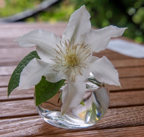 こんにちは(^-^) 明るい色彩で、すっきりとした美しい花を描く福田俊三