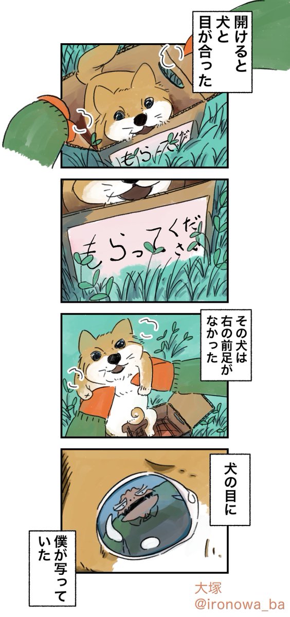 【おさらいティラノ部長】
⑩ダンボールと犬 