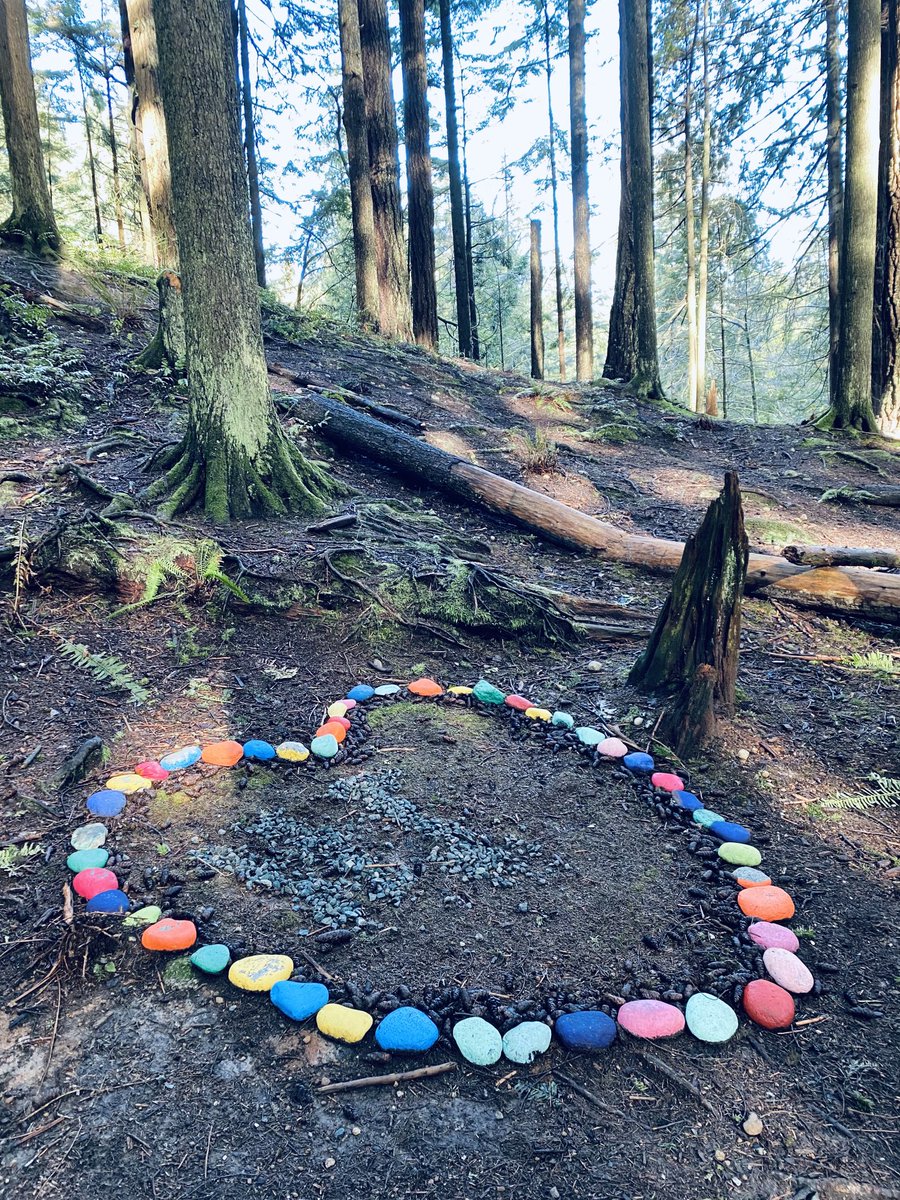 SylviaMarieKing's tweet image. I guess someone else loves the forest as much as I do. #listentothetrees