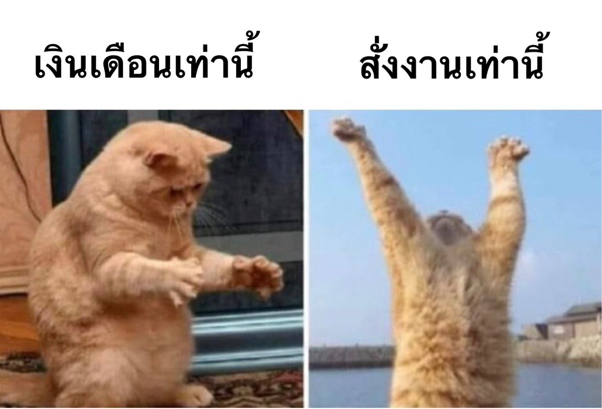 คนอยากเขียน. tweet media