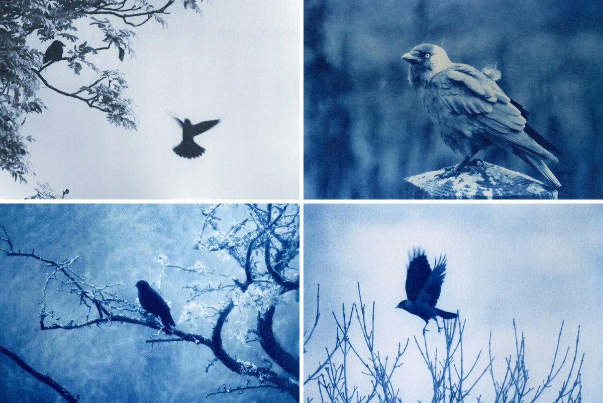 よし様 由(よし) (@yoshix2_555) / Posts / X