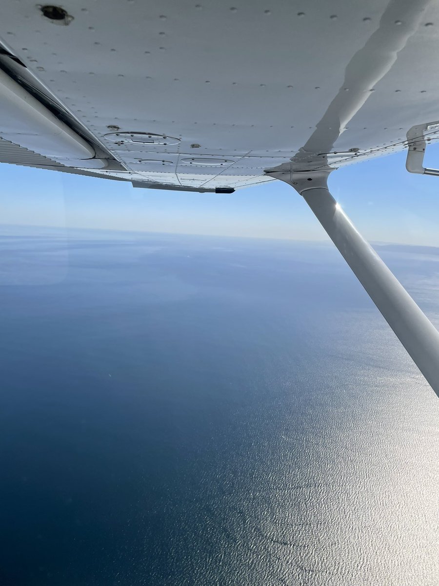 lilspicynacho's tweet photo. went on an airplane for the first time ever yesterday &amp; had the cutest pilot to take me out 🧑🏻‍✈️🛩🤍 https://t.co/a8A7G8kntk