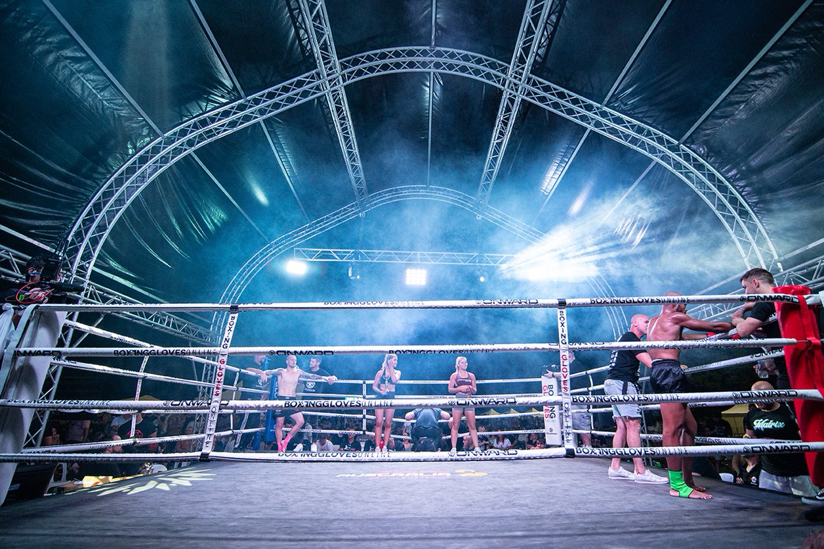 Diamondback Fighting Championship tweet media