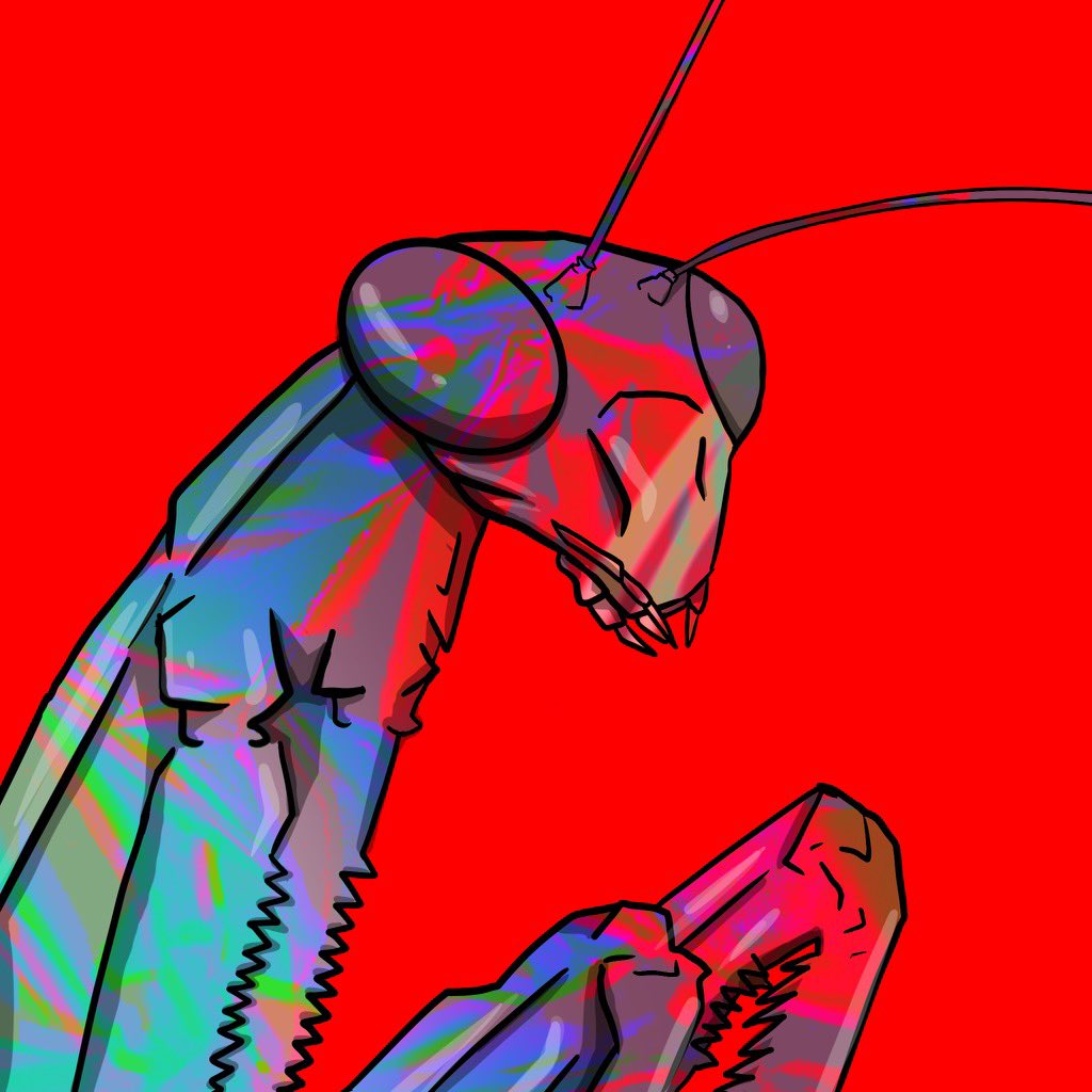 LoveDeathMantis's tweet photo. @jeremyfall Hi https://t.co/RA4o9e2evo