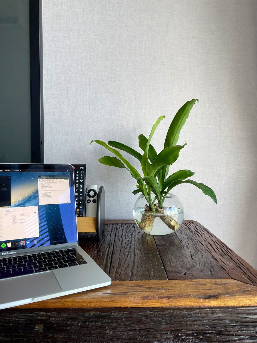 alexander_khor's tweet photo. See this super cute plant mum brought in from home 🥺 https://t.co/A9rgjFjb4V