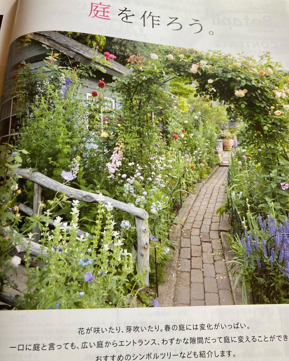 kurinouen's tweet photo. 💐植物の情報がいっぱい😊💐
お店を整理していたら✨お宝✨が出てきました☺️✨
『🍀植物情報誌Botapii🍀』
必要な方はご自由にお持ち下さいませ💐
※なくなり次第終了となります。
※取り置きはお受け致しませんのでご来店の上お持ち帰り下さい。
#botapii
#株式会社ストロボライト 様
#里乃彩 https://t.co/iAn7Y6IQiw
