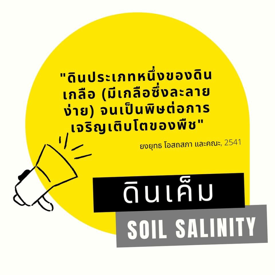 ItCactus's tweet photo. #แบ่งปันความรู้ 
ระดับความเค็มกับอิทธิพลต่อการเจริญเติบโตของพืช ฉบับเต็ม ตามที่ page: IT’s CACTUS 
#หินภูเขาไฟ ลอยทะเลมา ทาสน้องหนามท��กคนตาลุกวาวกันเลยทีเดียว ในกลุ่มขายแคคตัส ประกาศขายกันตูมตาม ซื้อมาใช้ได้แต่ควรใช้ให้ถูกเพื่อสุขภาพที่ดีของน้อง ส่วนน้องคนไหนทนไหวส่องต่อ … https://t.co/EX2PJo9g6D