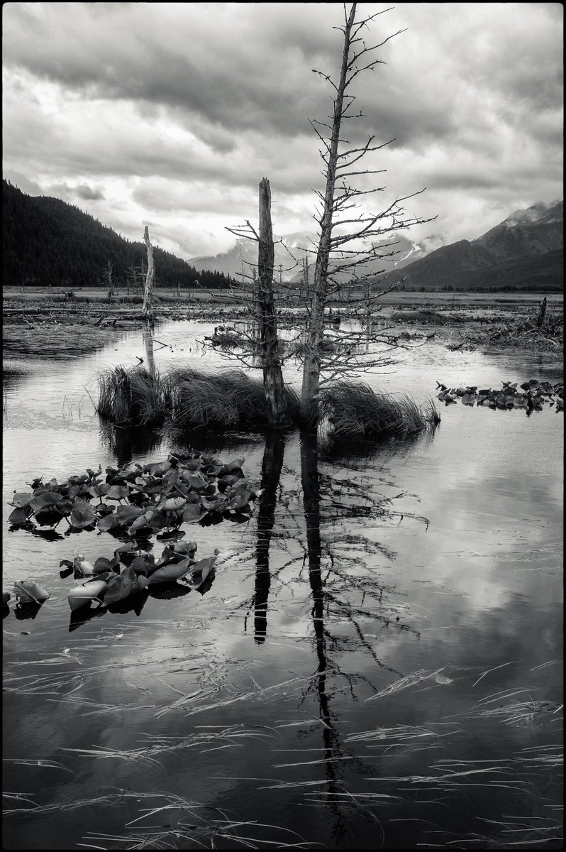 MattChmielarcz1's tweet photo. Thanks for this fun opportunity. 

Portage, Alaska

#bwlandscape #alaskalandscape #leica #landscape #NFTlandscape https://t.co/ZTDRlLTgff