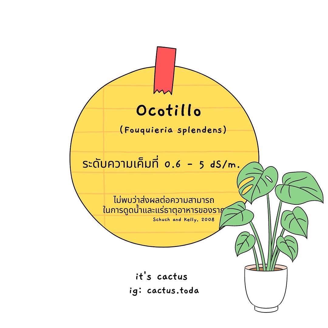 ItCactus's tweet photo. ทนไหวไปต่อ ไม่ไหวแพ้บาย https://t.co/p289lj8qJT