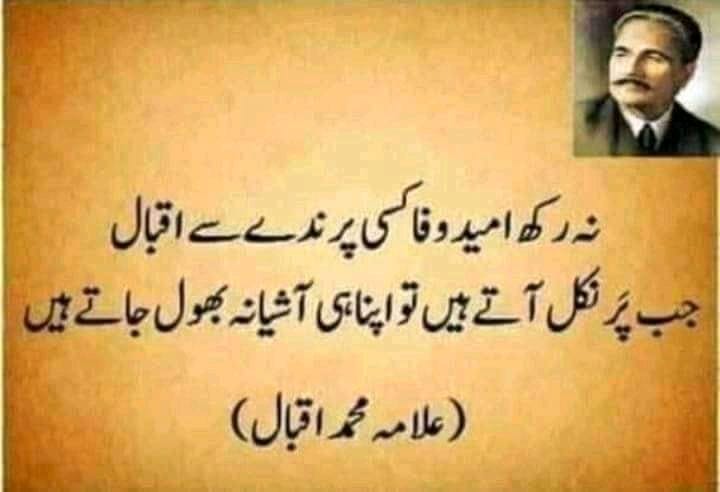 Ashraf Hamidi tweet media