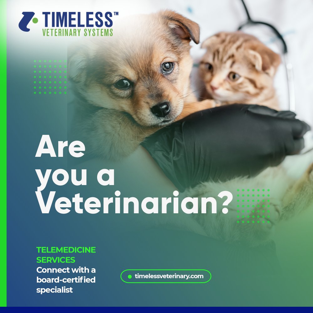 Timeless Veterinary tweet media