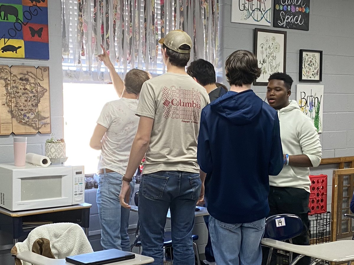 sum_king83's tweet photo. Love seeing my Botany class at work - lots of ideas and innovations ❤️ 🌺 
#botany #hydroponics #seedlab #livingstoneplants #growingitall https://t.co/RlWRv8ES82