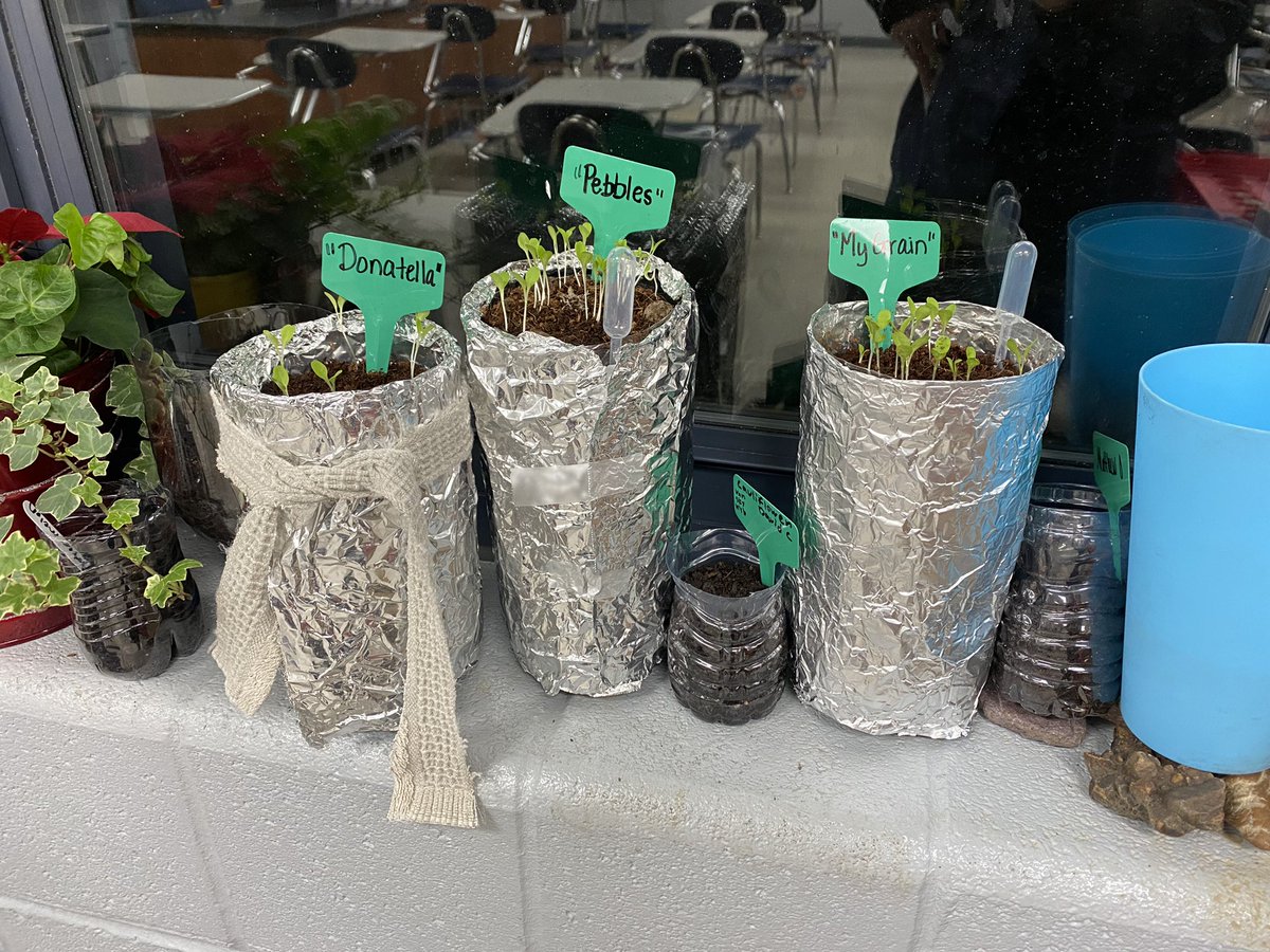 sum_king83's tweet photo. Love seeing my Botany class at work - lots of ideas and innovations ❤️ 🌺 
#botany #hydroponics #seedlab #livingstoneplants #growingitall https://t.co/RlWRv8ES82