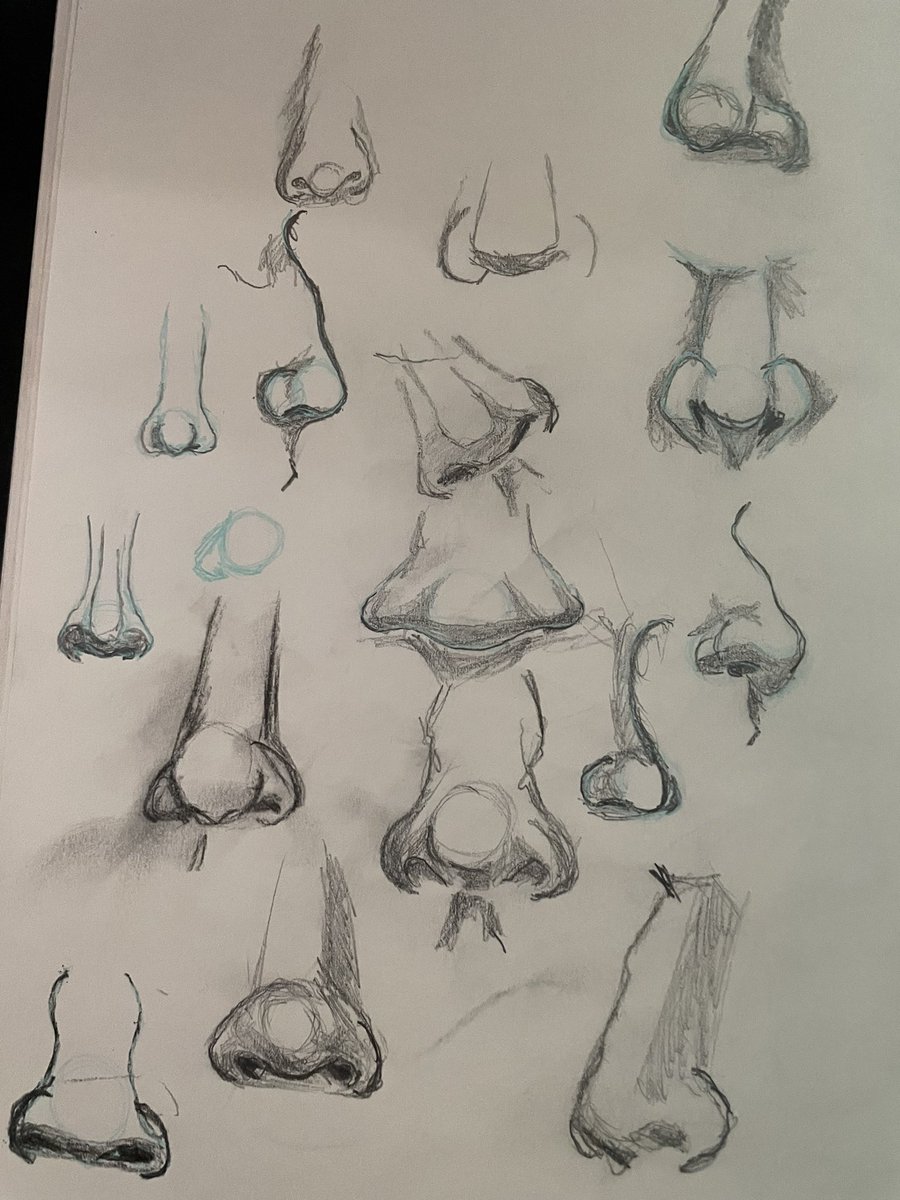 It’s been a nose sketching night. Just keeping the sketch practices going.
