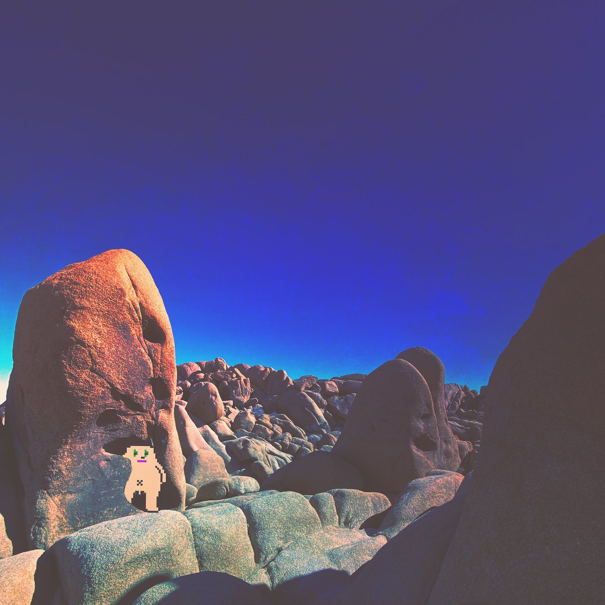 swallja's tweet photo. The Desert Chad 🏜
@ChadcordMemes @larvachads @The_Tuna_Boss 
#joshuatree #joshuachad https://t.co/soqX3IC6Az