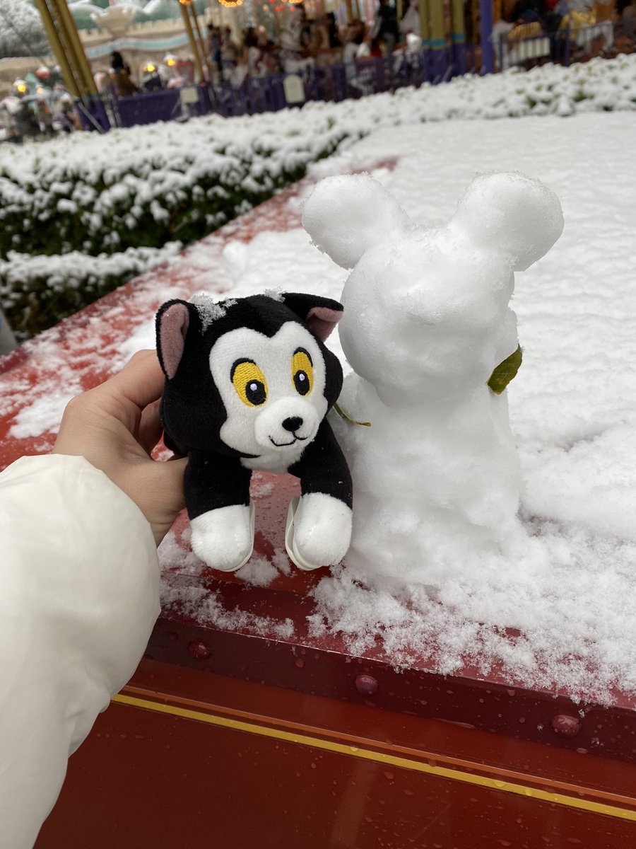 disney230thv's tweet photo. ディズニー大好き🤍
フィガロ大好き🤍🐈‍⬛
1人ディズニー良くします🤍
よかったら仲良くしてください〜👼🏻

#ディズニー好きな人と繋がりたい #ディズニー好きと繋がりたい #Dヲタさんと繋がりたい https://t.co/hXCRAa0xRI