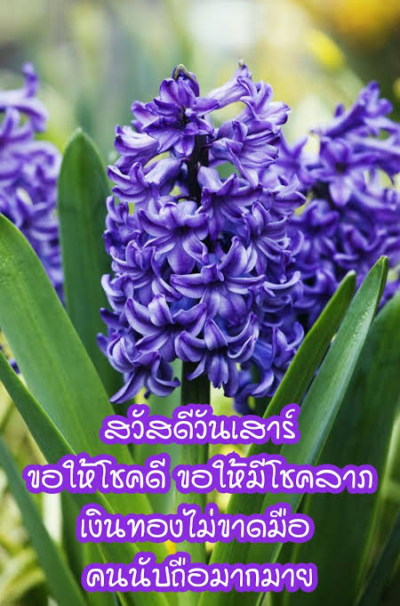 เมลวิน tweet media