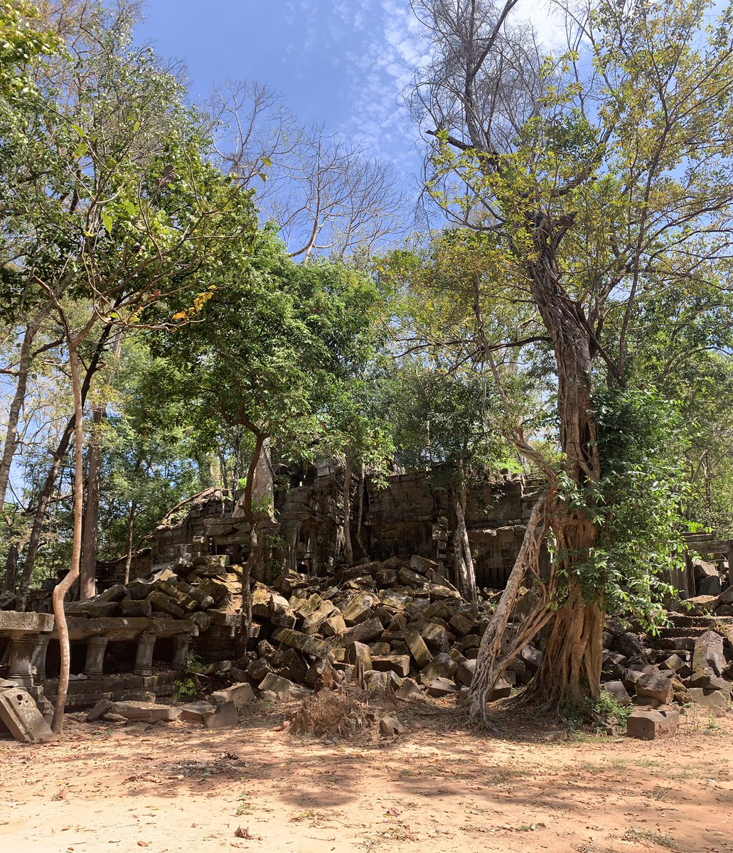 Beautiful Beng Mealea jungle temple in Siem Reap Cambodia #jungletemple #bengmealeatemple #exclusivecambodiatravel #exclusivecambodiatourpackage

Exclusive Cambodia Tour Package

7 Makara Street Krong Siem Reap, 17254
069 467 474 g.co/kgs/hZwZzS