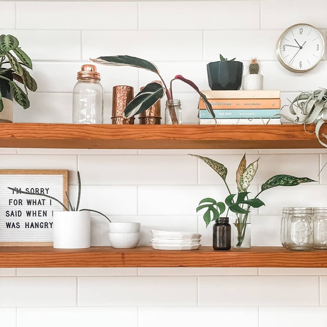 TreeClicks's tweet image. Spice up your shelves with some cute plant cuts! 🌱 treeclicks.com

Picture by @urbanoreganics

#plants #nature #homedecor #sustainablejourney