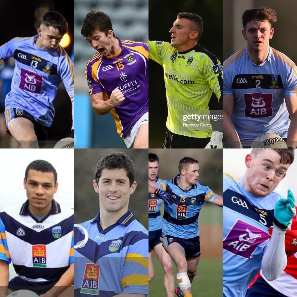 UCD GAA CLUB tweet media