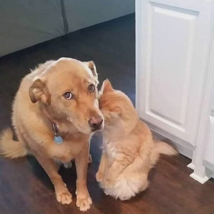 Я не знаю что они натворили, но их надо простить🙏