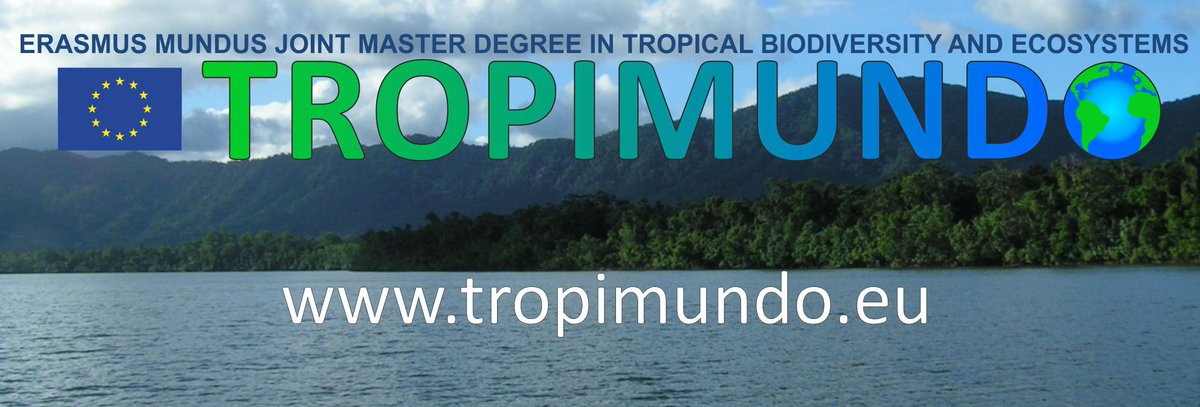 TROPIMUNDO tweet media