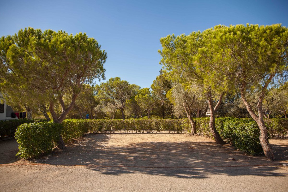 CampingNautic's tweet photo. Parcel·les buides... però a partir de l'1 d'abril podreu gaudir d'aquestes terrasses amb extraordinàries vistes. 🥰
#campingnautic #parceles #nature #ametllademar #costadaurada #vacances https://t.co/PszC4t418R