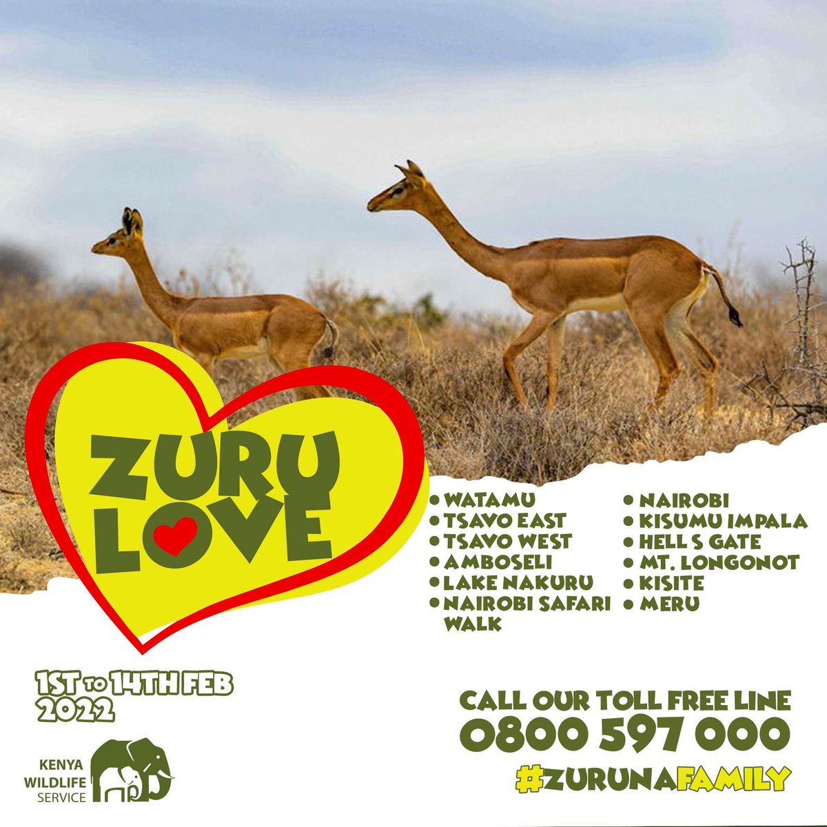 #ValentinesInThePark gives you a serene and intimate time with your loved one and nature
#zurulove