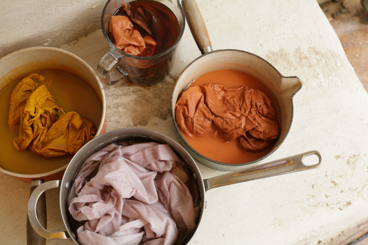 Dyeing to go foraging? Or foraging for dye? Wande the wilderness of West Clare with expert foragers who will share how and where to forage and what you can eat, preserve - and even use natural dyes. ourcommonknowledge.org/foraging-fibres