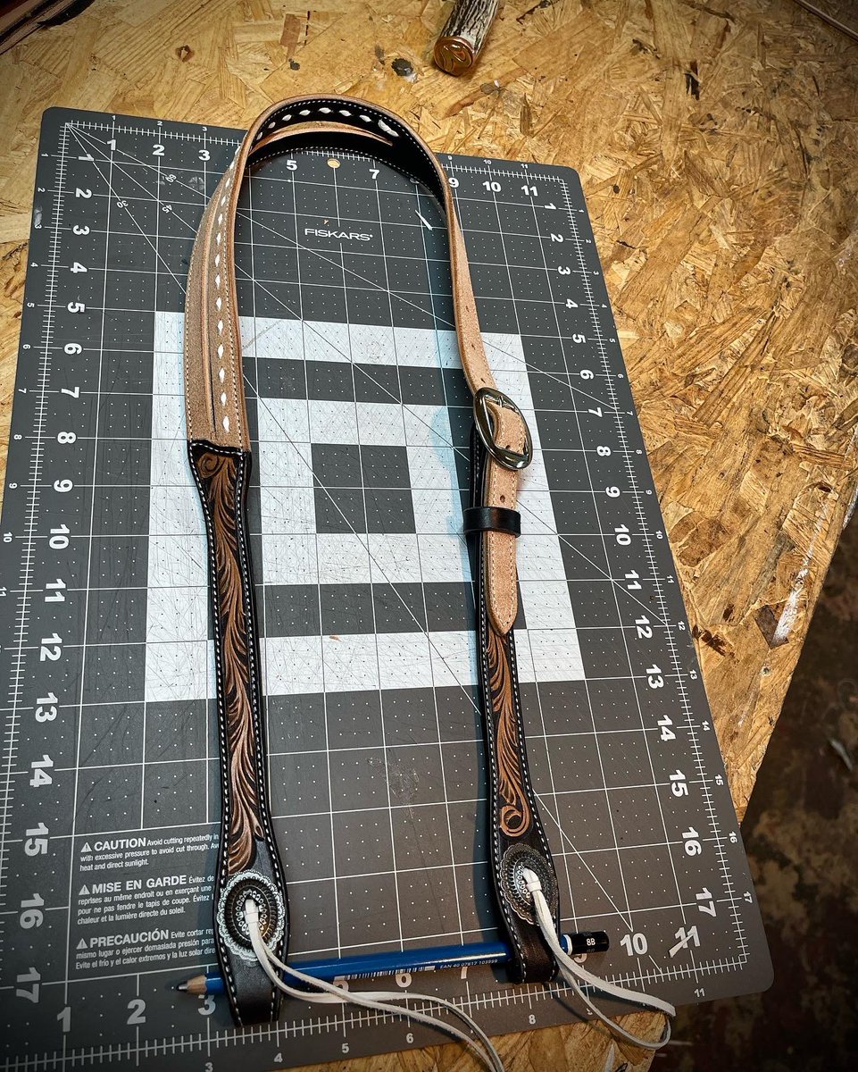 Headstall up for grabs