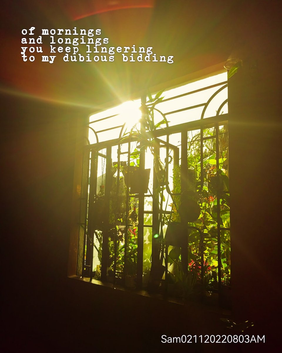 Clyde Sam tweet media