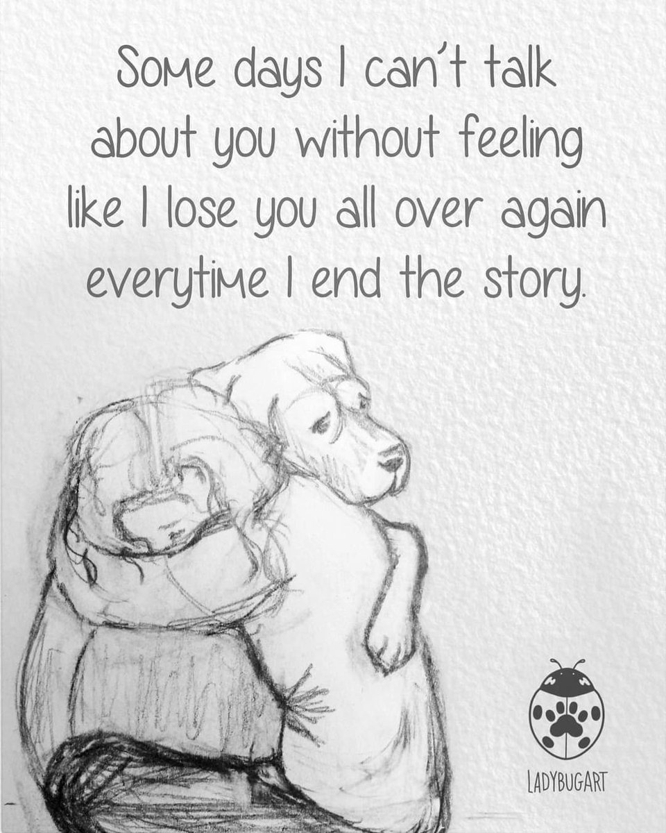 freddiethelab's tweet photo. Nearly 3 years since I lost Freddie, and this is still the case xxx https://t.co/1ShrxfwJC2
