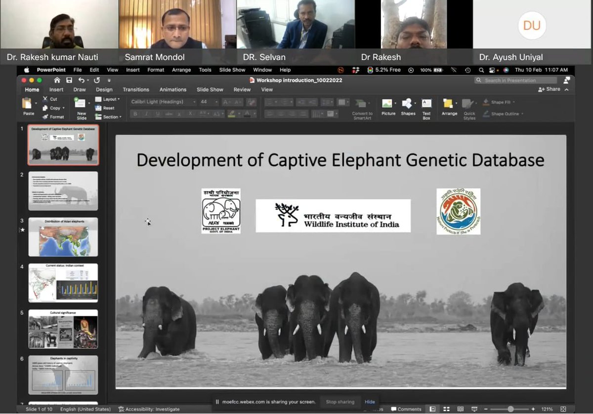 moefcc's tweet photo. 𝐒𝐚𝐯𝐢𝐧𝐠 𝐞𝐥𝐞𝐩𝐡𝐚𝐧𝐭𝐬 𝐟𝐨𝐫 𝐟𝐮𝐭𝐮𝐫𝐞!
Project Elephant Division &amp; Elephant Cell of WII organised an orientation workshop on the topic 'Biological Sampling for developing a Genetic Database of Captive Elephants across India'. https://t.co/xKOihm9cr0