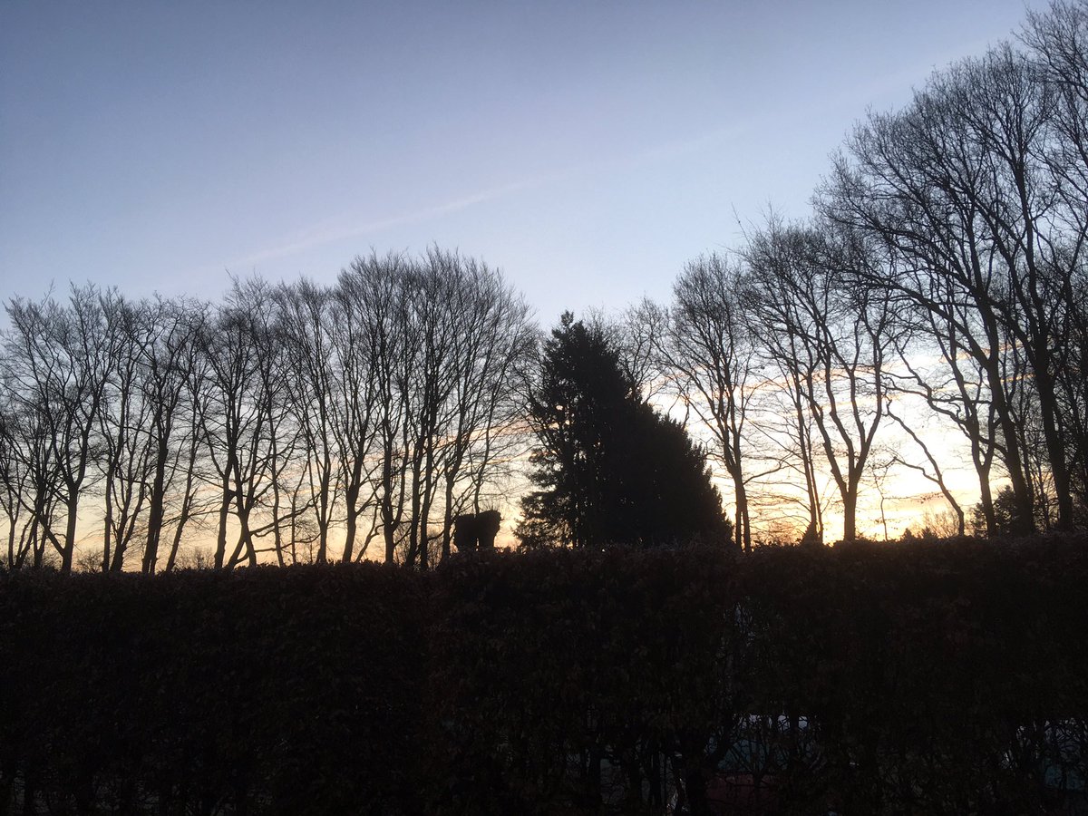 warnerbs's tweet photo. Zaterdag 12 februari, 7.58 u #zonsopkomst #hattem #leemcule https://t.co/YFvKvEEHfX