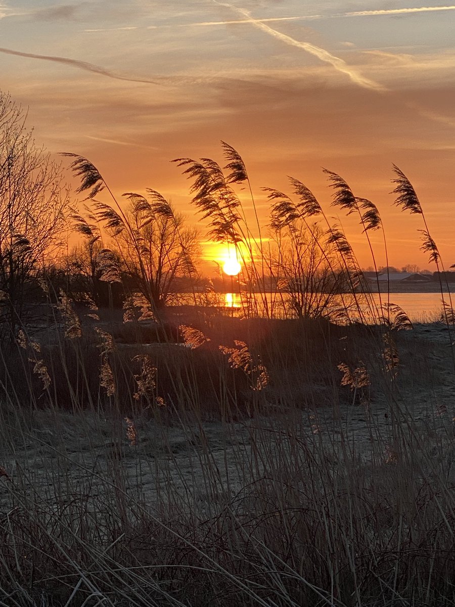 digitejo's tweet photo. Mooi op de Lek vanmorgen. #teamgoedemorgen https://t.co/VIN5yM6FeJ