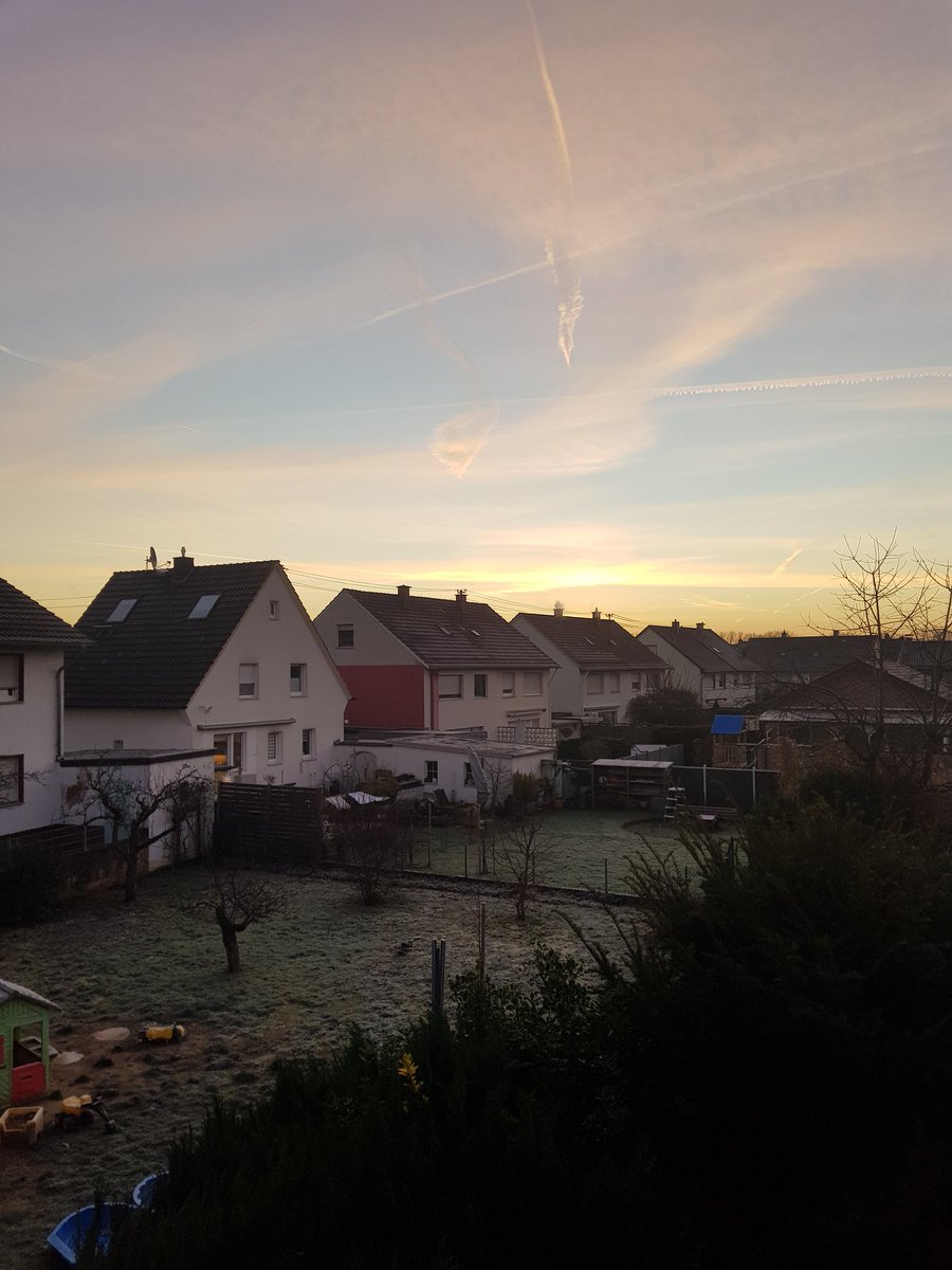 𝙈𝙖𝙧𝙩𝙞𝙣𝙖 𝙍𝙤𝙨𝙚𝙢𝙖𝙣𝙣 🌹😎🇩🇪 tweet media