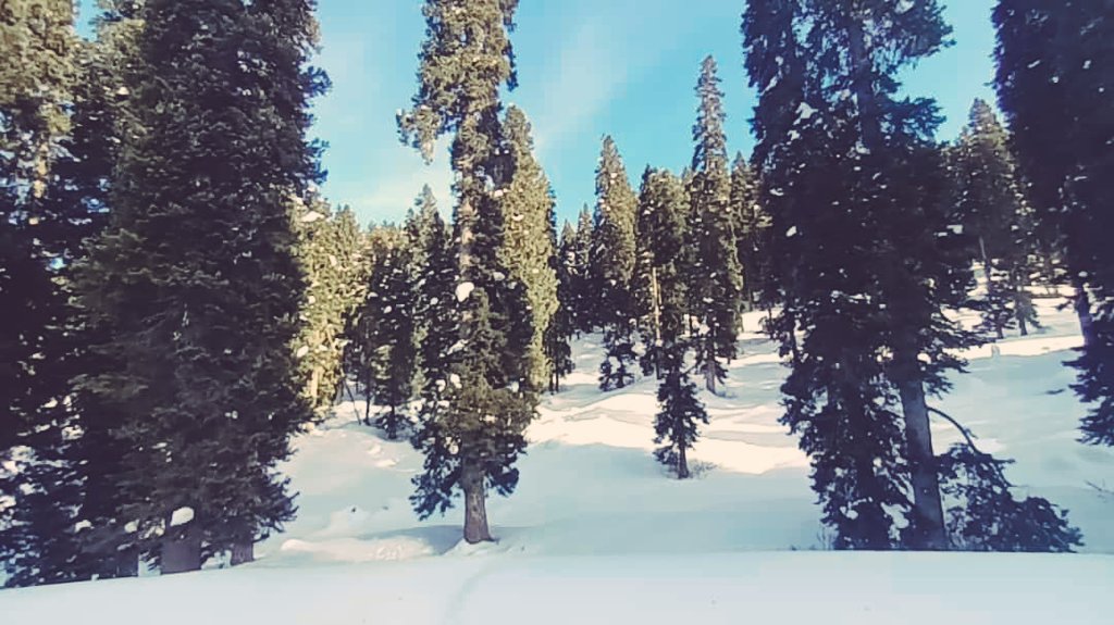 tasaduqrazvi's tweet photo. Beautiful snow covered mountains and Meadows of doodhpathri budgam kashmir.
@xeeshan_KAS @shahbazmirza9 https://t.co/wcLj08rHeG