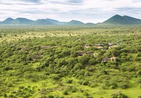 tukwa2's tweet image. #ClimateActionNow 
#climatechange
#Trees4future
#trees4life
#plantmoretrees