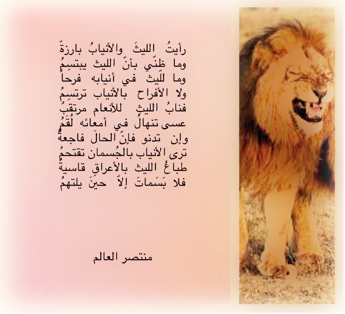#السويد_تخطف_أطفال_المسلمين #الشباب #قصائد #قصيد #بوليفارد_المواهب #تركيا #جامعة_الكويت #حساب_المواطن #اوروبا #أوكرانيا #بيروت #بغداد #الكويت #فلسطين #سورية #ابو_ظبي #تركيا #عدن