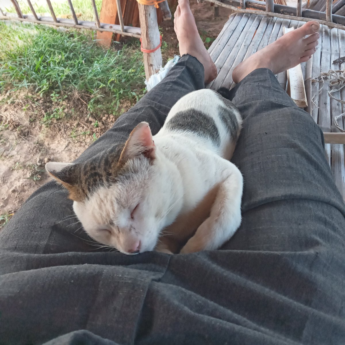 daok57's tweet photo. #NewProfilePic https://t.co/VmSj7niLti