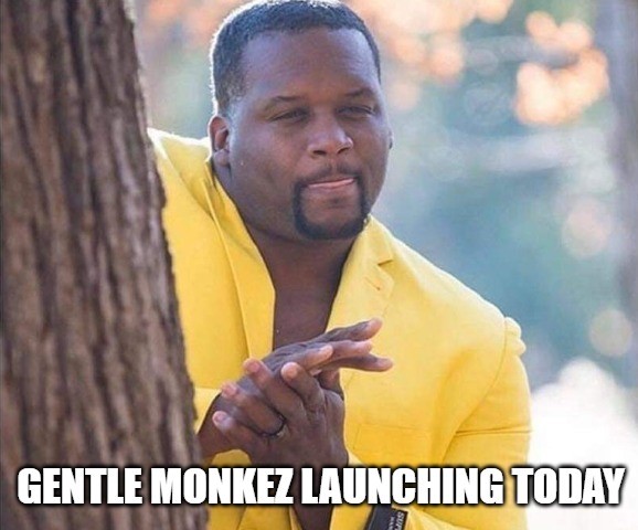 Did I hear that <a href="/GentleMonkez/">Gentle Monkez | CNFT | MINTING IS LIVE!!!</a> is launching in a few hours? 😏
