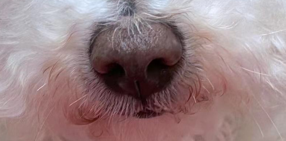 E_plus_M's tweet photo. TEASER: Animal Photography https://t.co/Vl4ZA7gH1D
