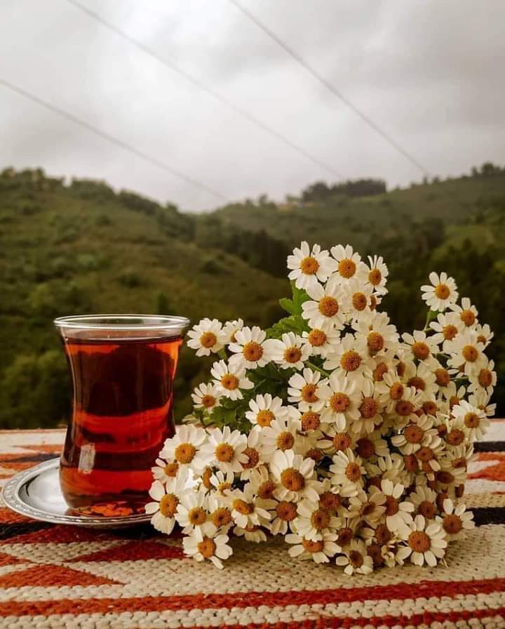 Günaydın mutlu günler 🌼
