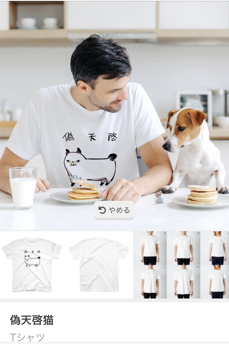 川尻こだま on X: 