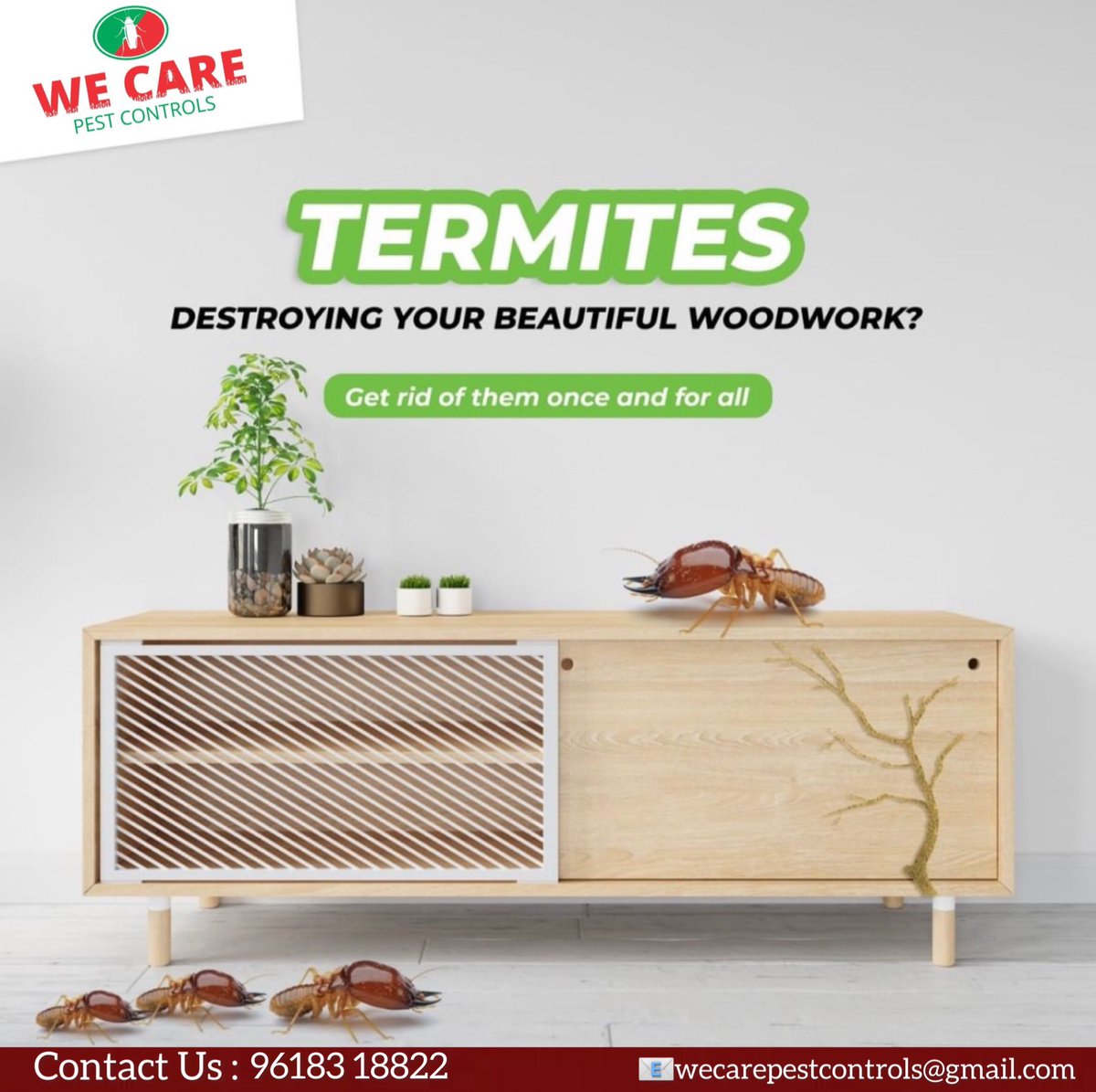 we_pest's tweet photo. Pests don’t care about social distancing , We care Pest Controls will distance them for you .  
.
.
.
@TIF_TELANGANA 
@we_pest 
.
.
.
#wecarepestcontrols
#termite 
#termitecontrol 
#preconstruction 
#postconstruction
#carpenter 
#Wood 
#wooddamage 
#COVID19 
#SARSCoV2 
#Omicron https://t.co/oIHB0SEnn8