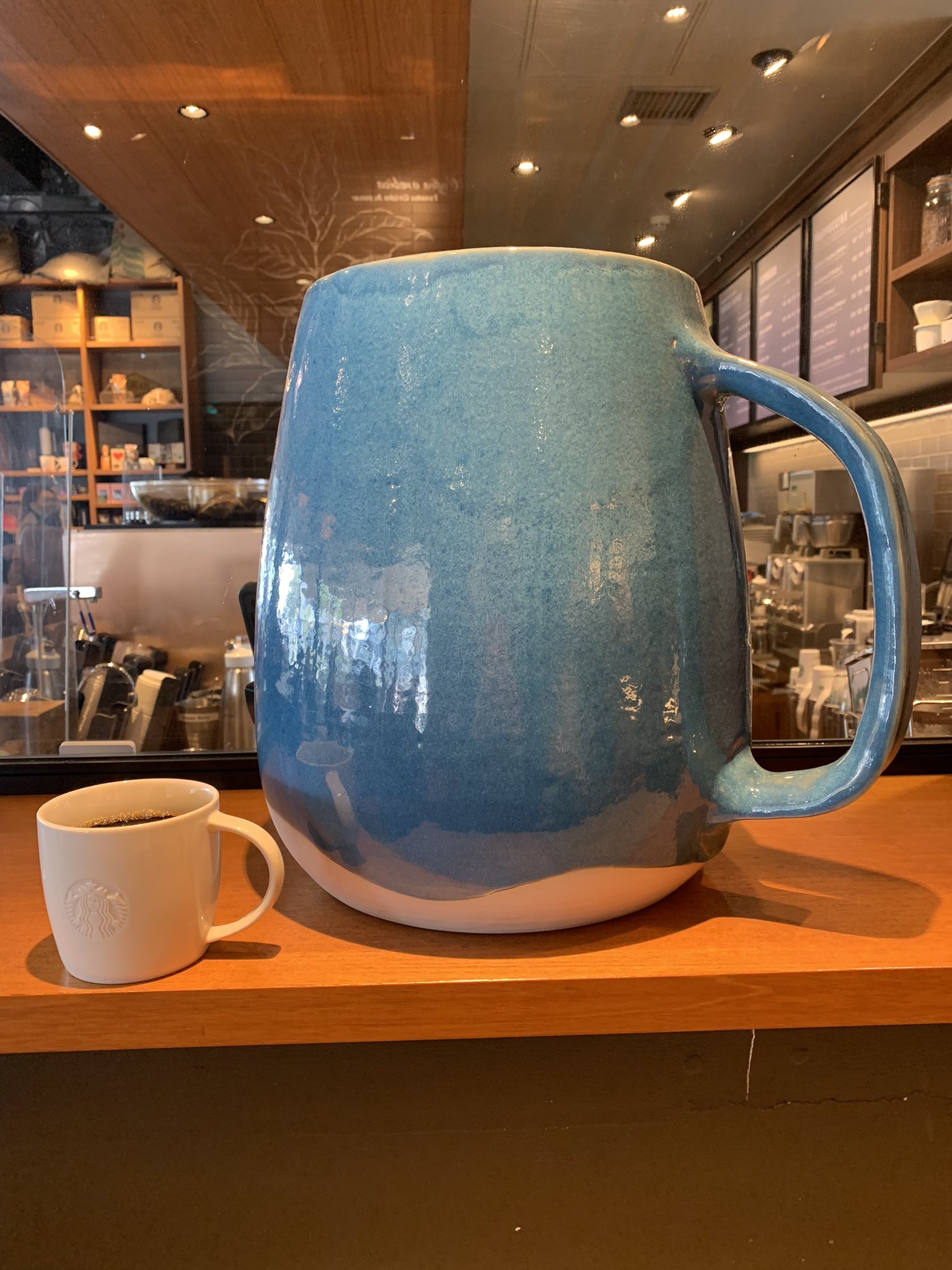 Starbucks Coffee - 新品未使用 STARBUCKS・スターバックス 鳥取限定 アロママグ Sakyu Starbucks Coffee - 新品未使用 STARBUCKS・スターバックス 鳥取