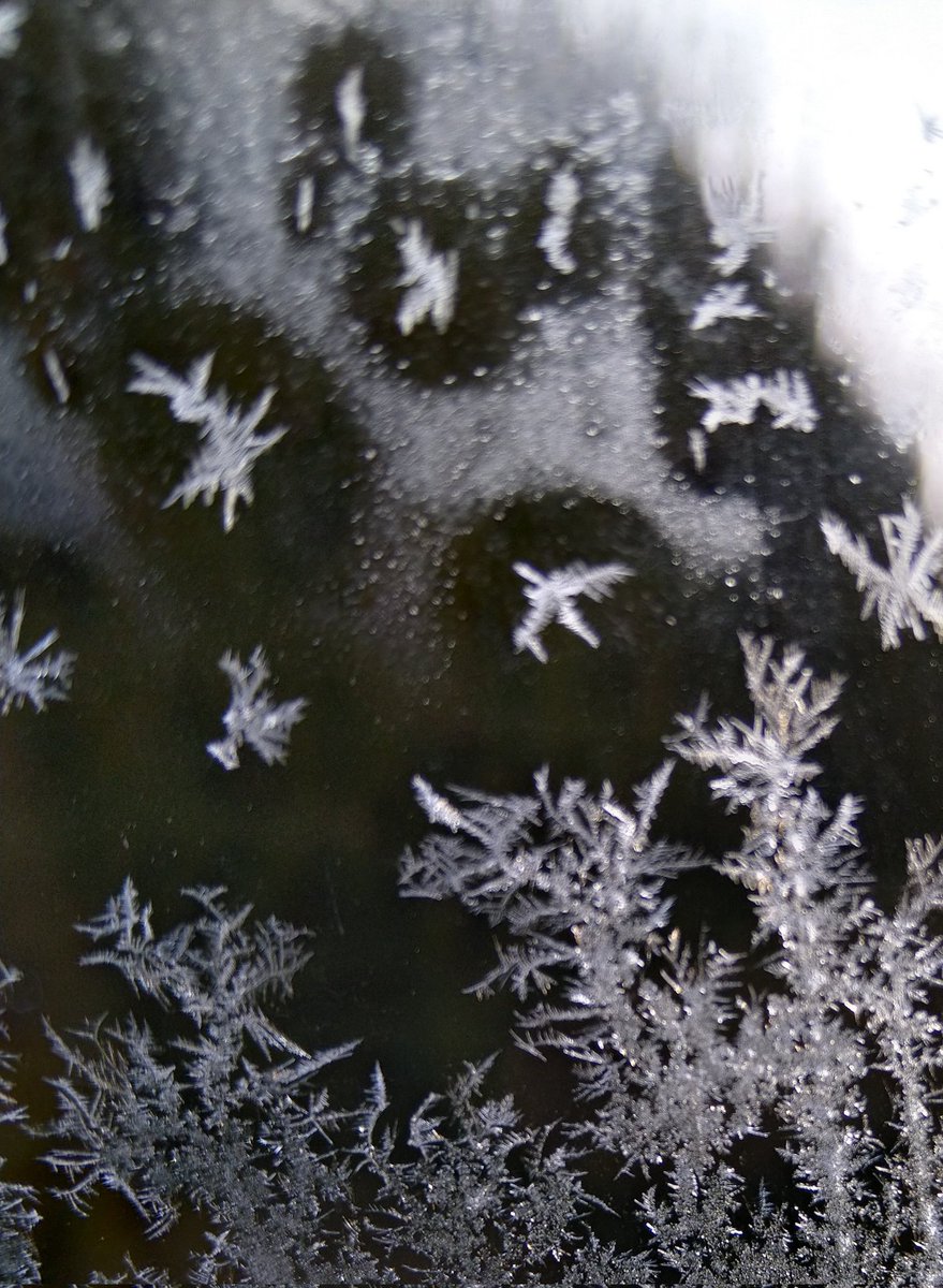 rimed_dendrite's tweet photo. #Bergeron effect on my window https://t.co/3suHYWGiUC