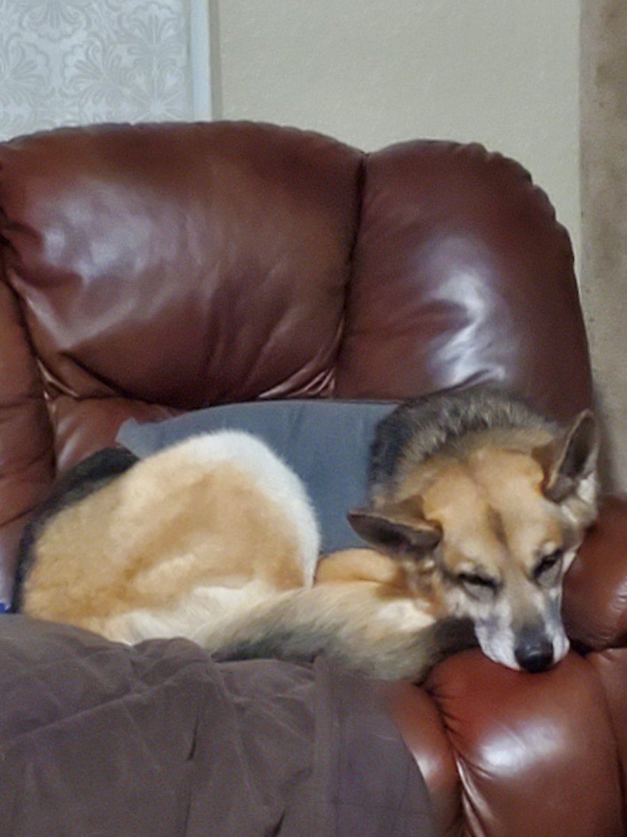 Vicky Kramer tweet media