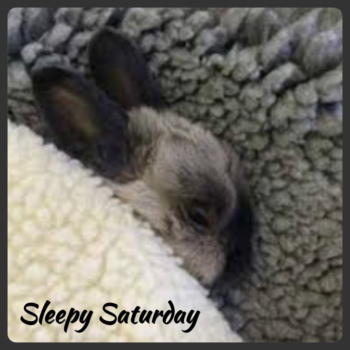 Vicky Kramer tweet media